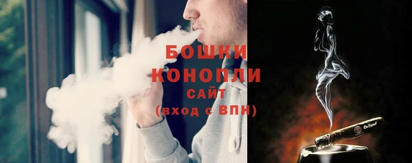 стаф Губаха