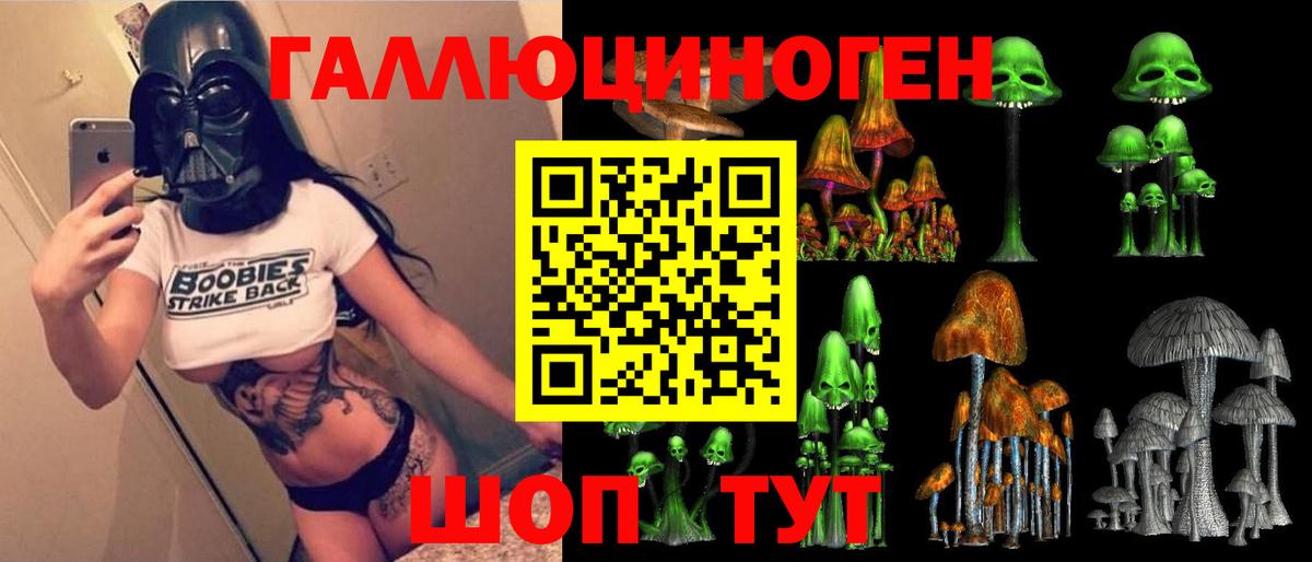 Псилоцибиновые грибы GOLDEN TEACHER  купить закладку  Старая Купавна 