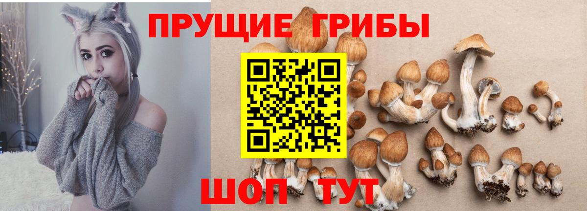 Псилоцибиновые грибы MAGIC MUSHROOMS  купить наркотик  Старая Купавна  Вход с VPN  Псилоцибиновые грибы Magic Shrooms 